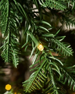 WeRChristmas Pre-Lit Mixed Pine Natural Bark Christmas Tree, 8 Ft^ Pre Lit Christmas Trees