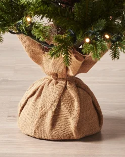 WeRChristmas Pre-Lit Norway Spruce Potted Christmas Tree, 3 Ft^ Budget Christmas Trees|Potted Christmas Trees