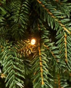 WeRChristmas Pre-Lit Norway Spruce Potted Christmas Tree, 3 Ft^ Budget Christmas Trees|Potted Christmas Trees
