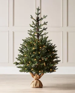 WeRChristmas Pre-Lit Norway Spruce Potted Christmas Tree, 4 Ft^ Budget Christmas Trees|Potted Christmas Trees