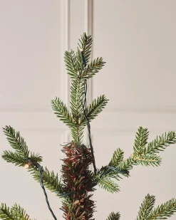 WeRChristmas Pre-Lit Norway Spruce Potted Christmas Tree, 4 Ft^ Budget Christmas Trees|Potted Christmas Trees