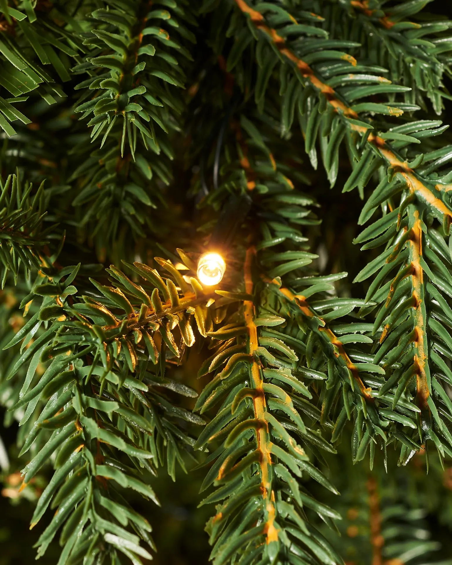 WeRChristmas Pre-Lit Norway Spruce Potted Christmas Tree, 5 Ft^ Budget Christmas Trees|Potted Christmas Trees