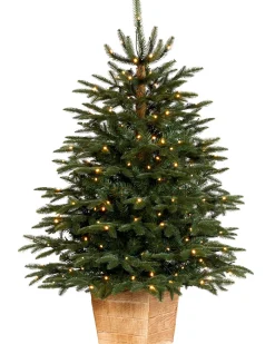 WeRChristmas Pre-Lit Potted Alaskan Fir Christmas Tree, 4 Ft^ Budget Christmas Trees|Potted Christmas Trees