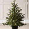 WeRChristmas Pre-Lit Potted Douglas Fir Christmas Tree, 3 Ft^ Budget Christmas Trees|Potted Christmas Trees