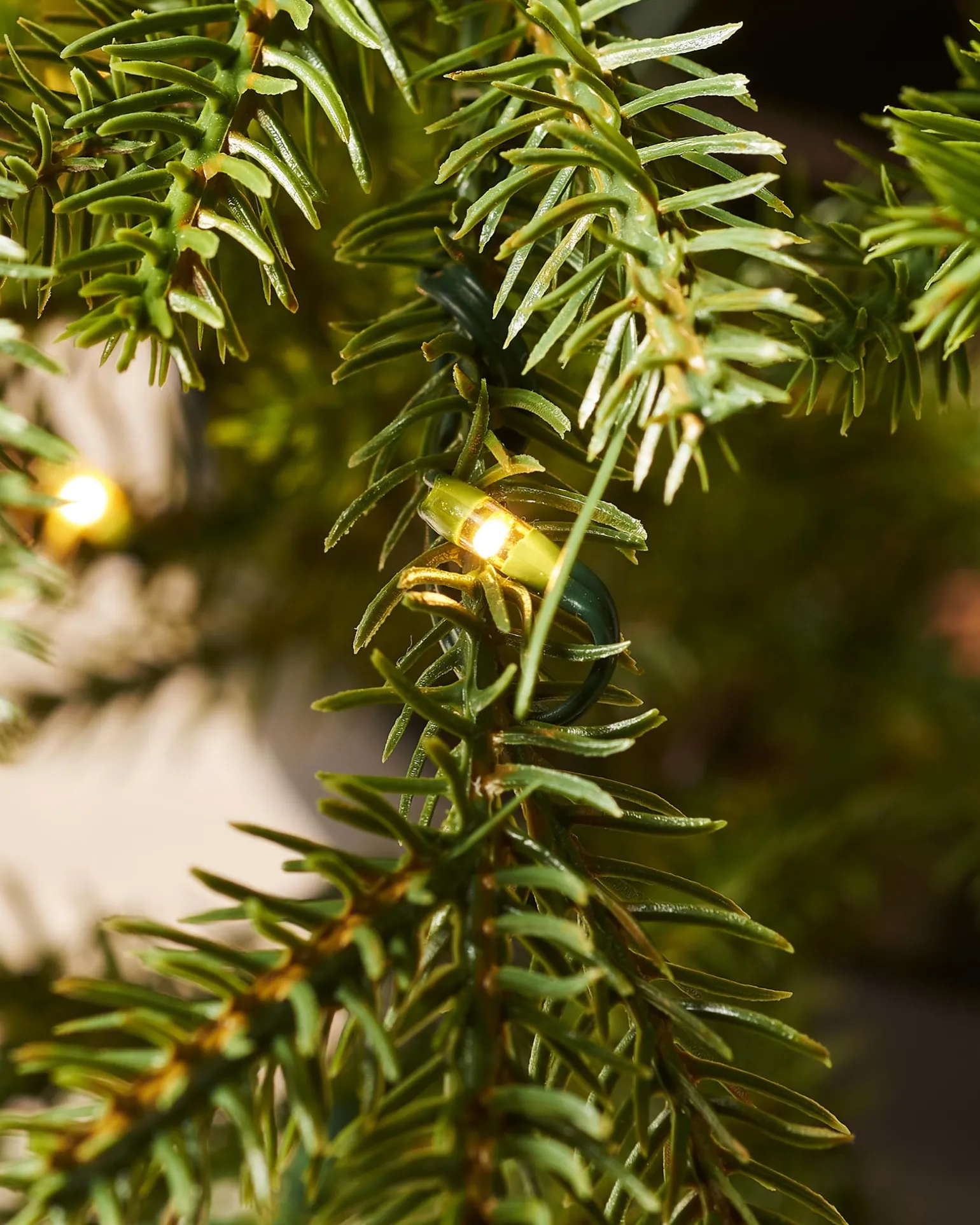 WeRChristmas Pre-Lit Potted Douglas Fir Christmas Tree, 3 Ft^ Budget Christmas Trees|Potted Christmas Trees