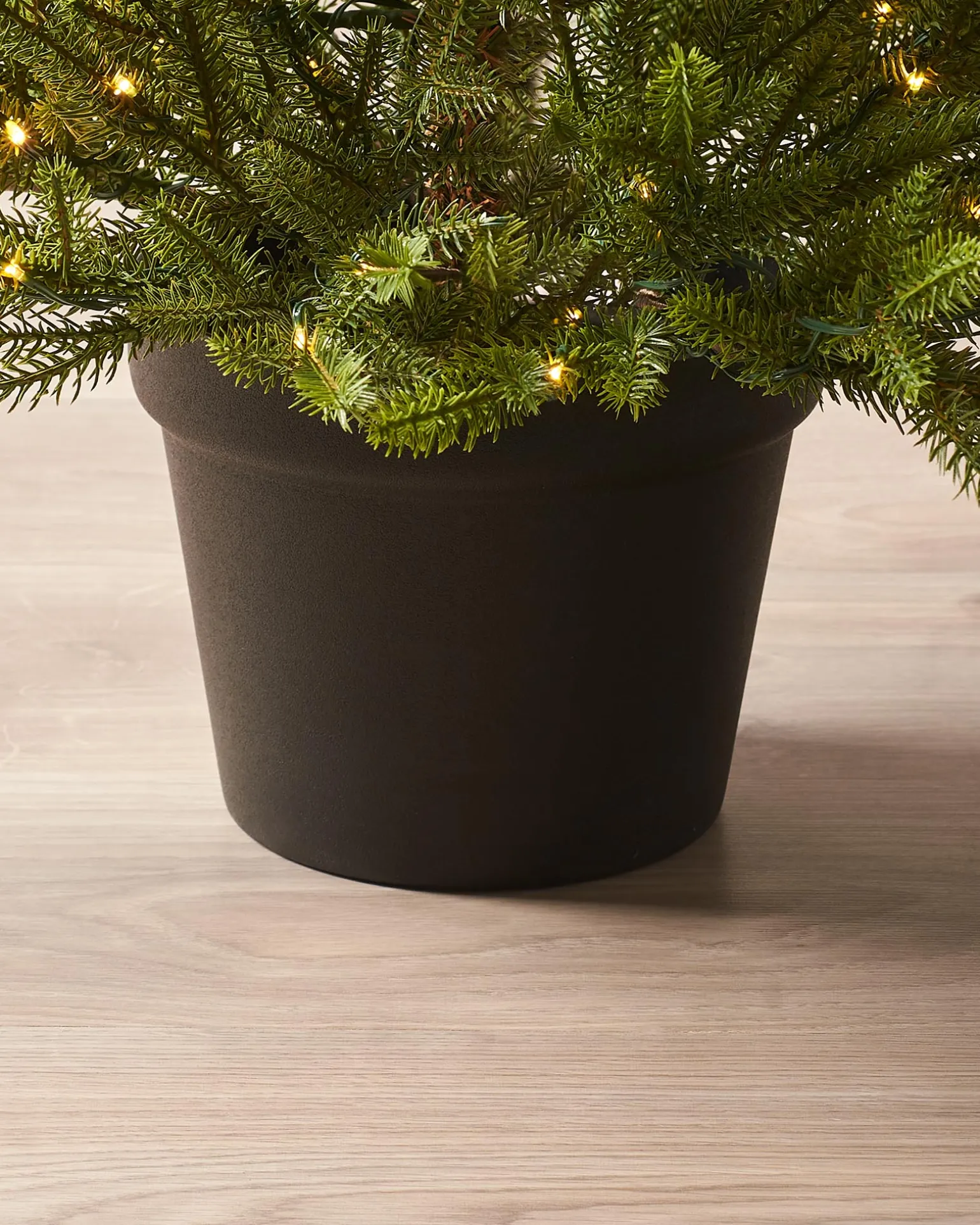 WeRChristmas Pre-Lit Potted Douglas Fir Christmas Tree, 3 Ft^ Budget Christmas Trees|Potted Christmas Trees
