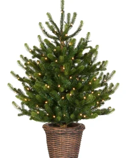 WeRChristmas Pre-Lit Potted Dwarf Fir Christmas Tree, 3 Ft^ Budget Christmas Trees|Potted Christmas Trees