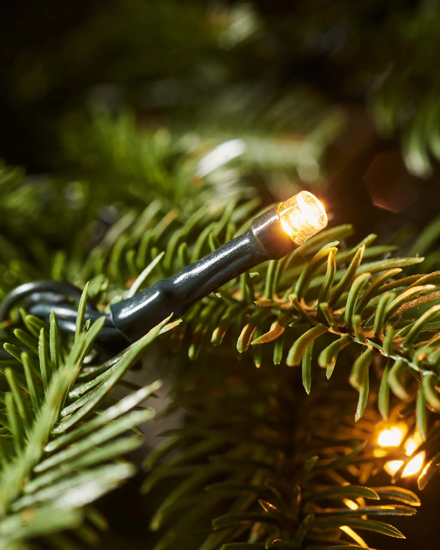WeRChristmas Pre-Lit Royal Fir Multi-Function Christmas Tree, 9 Ft^ Premium Christmas Trees|Pre Lit Christmas Trees