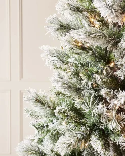 WeRChristmas Pre-Lit Slim Snow Flocked Spruce Christmas Tree, 6 Ft^ Premium Christmas Trees|Snow Flocked Christmas Trees