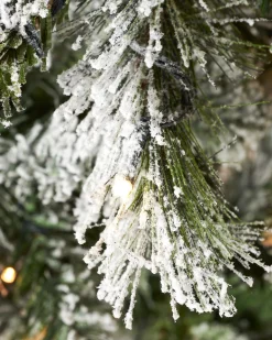 WeRChristmas Pre-Lit Slim Snow Flocked Spruce Christmas Tree, 7 Ft^ Premium Christmas Trees|Snow Flocked Christmas Trees