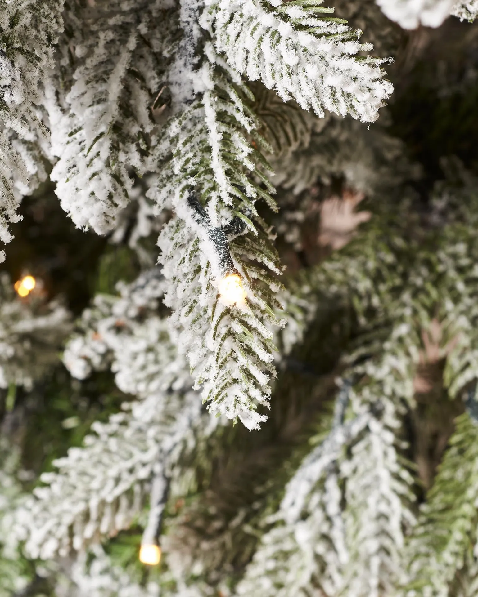WeRChristmas Pre-Lit Slim Snow Flocked Christmas Tree, 5 Ft^ Budget Christmas Trees|Snow Flocked Christmas Trees