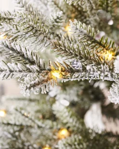 WeRChristmas Pre-Lit Snow Flocked Douglas Fir Christmas Tree, 7 Ft^ Premium Christmas Trees|Snow Flocked Christmas Trees