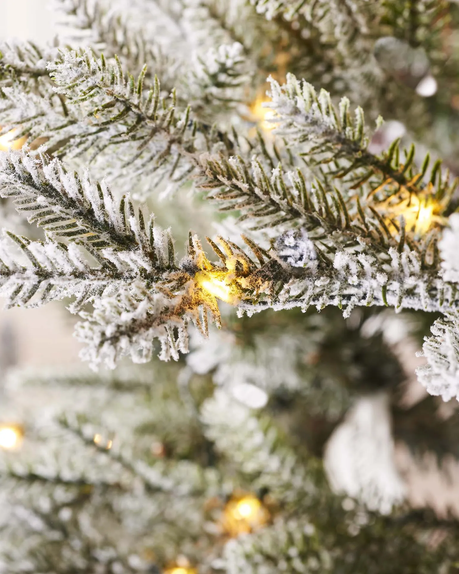 WeRChristmas Pre-Lit Snow Flocked Douglas Fir Christmas Tree, 8 Ft^ Premium Christmas Trees|Snow Flocked Christmas Trees