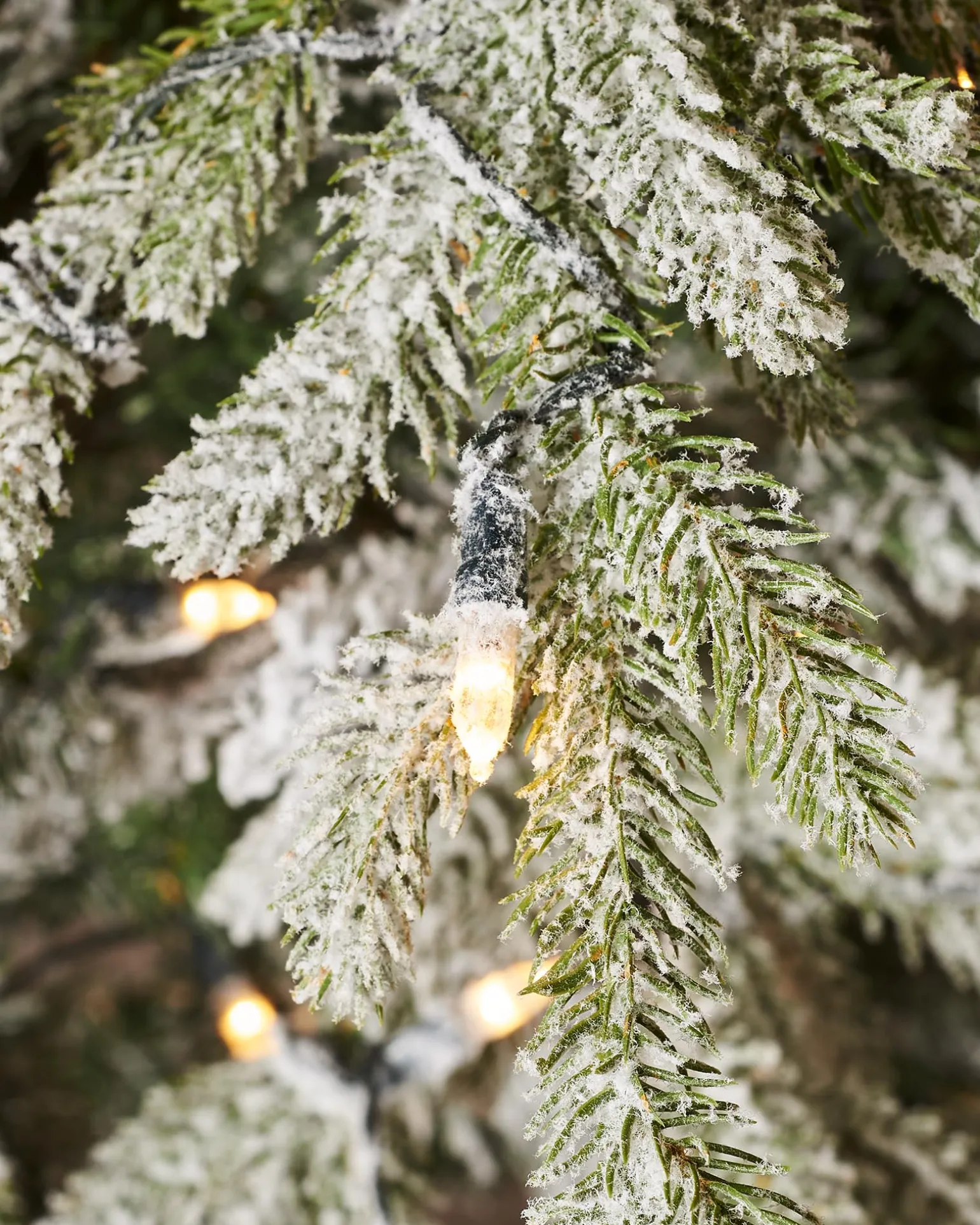WeRChristmas Pre-Lit Snow Flocked Fraser Fir Christmas Tree, 6 Ft^ Premium Christmas Trees|Snow Flocked Christmas Trees
