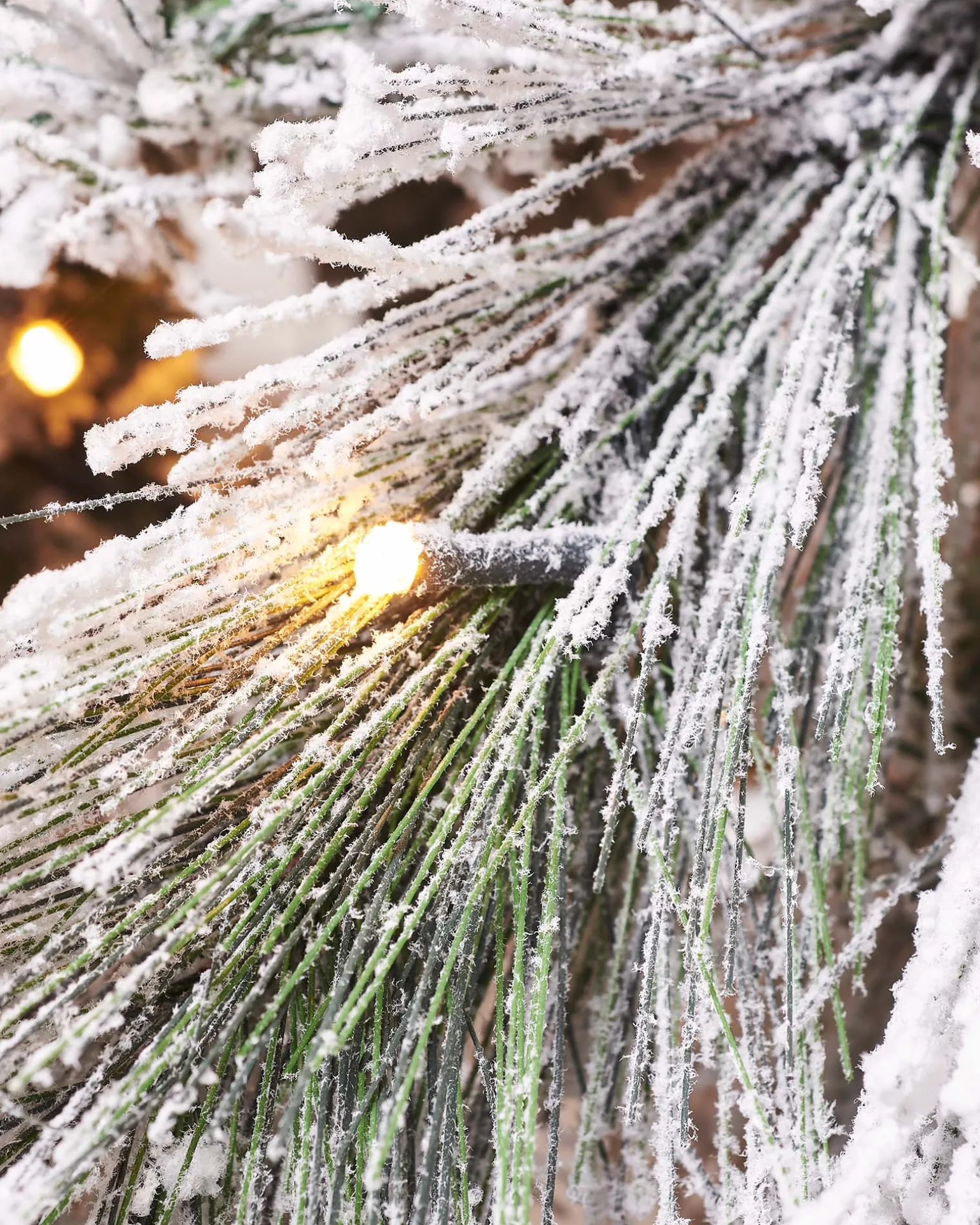 WeRChristmas Pre-Lit Snow Flocked Pine Needle Christmas Tree, 5 Ft^ Premium Christmas Trees|Budget Christmas Trees