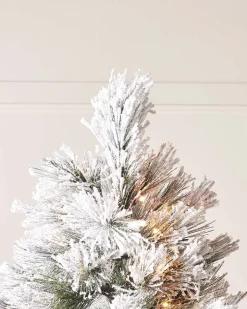 WeRChristmas Pre-Lit Snow Flocked Pine Needle Christmas Tree, 6 Ft^ Premium Christmas Trees|Snow Flocked Christmas Trees