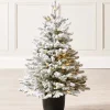 WeRChristmas Pre-Lit Snow Flocked Potted Christmas Tree, 3 Ft^ Budget Christmas Trees|Potted Christmas Trees