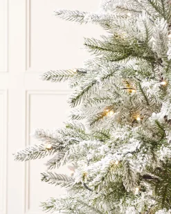 WeRChristmas Pre-Lit Snow Flocked Potted Christmas Tree, 4 Ft^ Budget Christmas Trees|Potted Christmas Trees