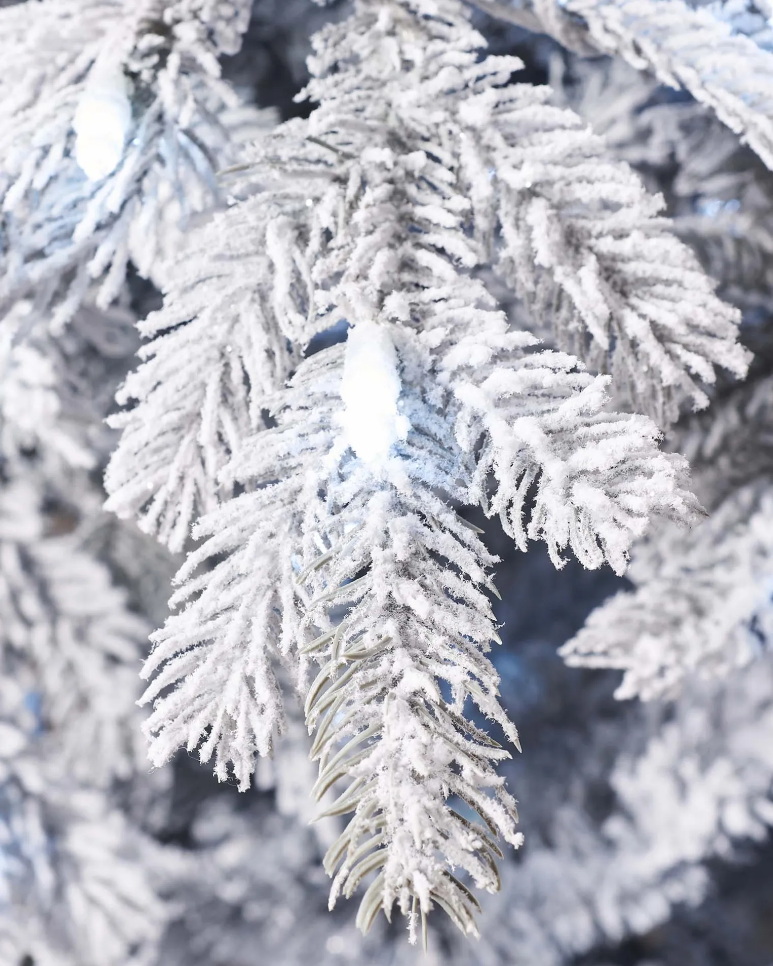 WeRChristmas Pre-Lit Snow Flocked Spruce Christmas Tree, 6 Ft^ Snow Flocked Christmas Trees|Pre Lit Christmas Trees
