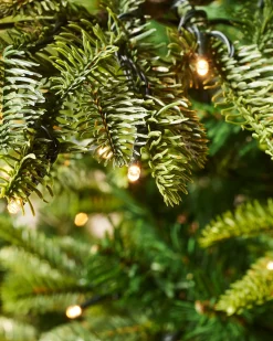 WeRChristmas Pre-Lit Sugar Pine Christmas Tree, 6 Ft^ Premium Christmas Trees|Pre Lit Christmas Trees