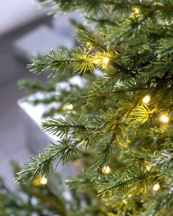 WeRChristmas Pre-Lit Traditional Fir Multi-Function Christmas Tree, 6 Ft^ Pre Lit Christmas Trees