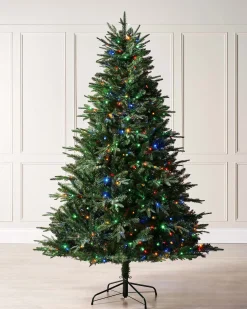 WeRChristmas Pre-Lit Windsor Fir Christmas Tree, Dual Multi Colour, 5 Ft^ Premium Christmas Trees|Pre Lit Christmas Trees