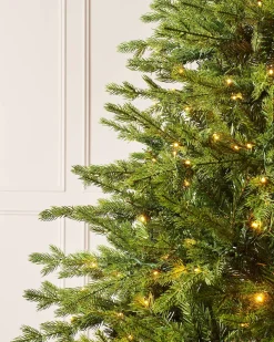 WeRChristmas Pre-Lit Windsor Fir Christmas Tree, Dual Multi Colour, 5 Ft^ Premium Christmas Trees|Pre Lit Christmas Trees