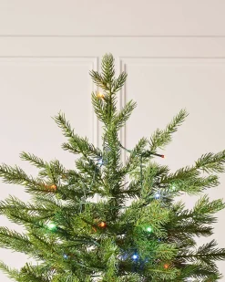 WeRChristmas Pre-Lit Windsor Fir Christmas Tree, Dual Warm White, 6 Ft^ Premium Christmas Trees|Pre Lit Christmas Trees