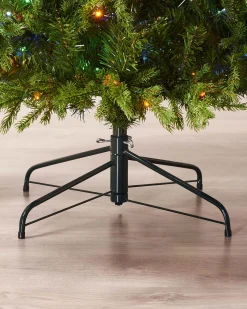 WeRChristmas Pre-Lit Windsor Fir Christmas Tree, Dual Warm White, 6 Ft^ Premium Christmas Trees|Pre Lit Christmas Trees