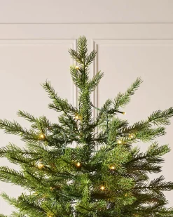WeRChristmas Pre-Lit Windsor Fir Christmas Tree, Dual Warm White, 7 Ft^ Premium Christmas Trees|Pre Lit Christmas Trees