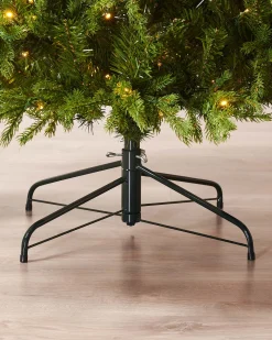 WeRChristmas Pre-Lit Windsor Fir Christmas Tree, Dual Warm White, 7 Ft^ Premium Christmas Trees|Pre Lit Christmas Trees
