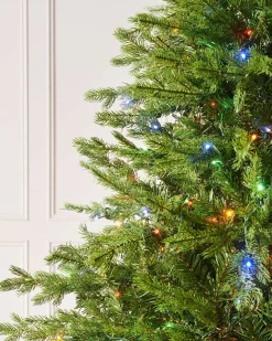 WeRChristmas Pre-Lit Windsor Fir Christmas Tree, Dual Warm White, 7 Ft^ Premium Christmas Trees|Pre Lit Christmas Trees