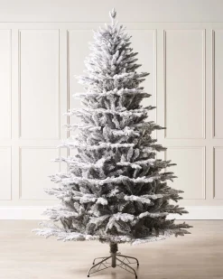 WeRChristmas Snow Flocked Grey Fir Christmas Tree, 6 Ft^ Premium Christmas Trees|Snow Flocked Christmas Trees