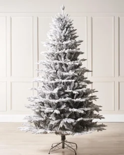 WeRChristmas Snow Flocked Grey Fir Christmas Tree, 7 Ft^ Premium Christmas Trees|Snow Flocked Christmas Trees