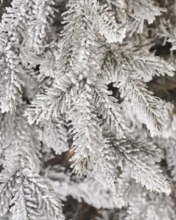 WeRChristmas Snow Flocked Grey Fir Christmas Tree, 7 Ft^ Premium Christmas Trees|Snow Flocked Christmas Trees