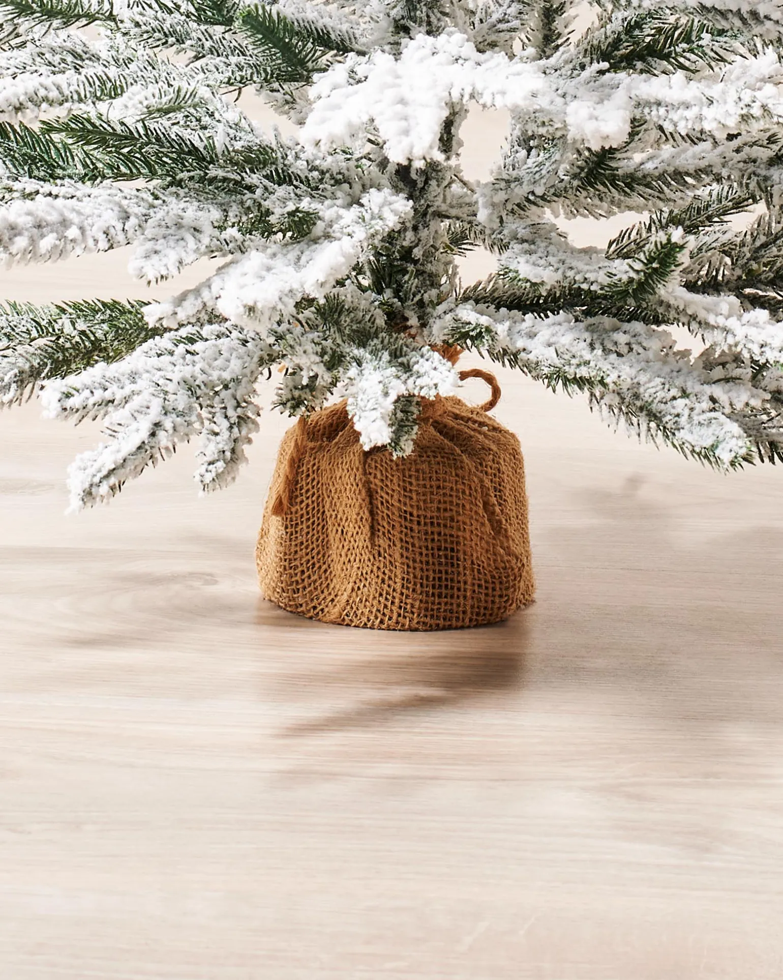 WeRChristmas Snow Flocked Potted Christmas Tree, 2 Ft^ Budget Christmas Trees|Potted Christmas Trees