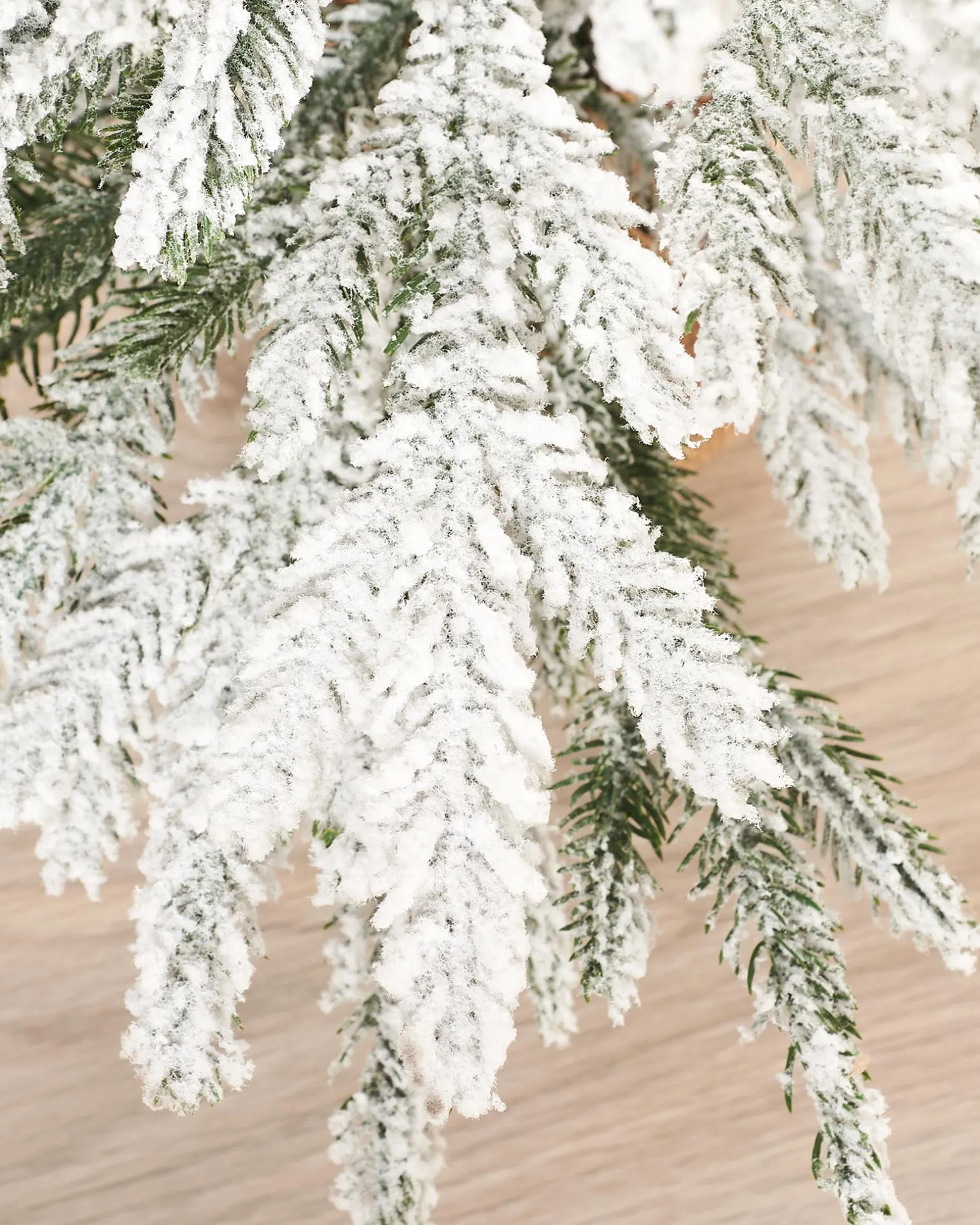 WeRChristmas Snow Flocked Potted Christmas Tree, 2 Ft^ Budget Christmas Trees|Potted Christmas Trees