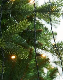 WeRChristmas Warm White LED Christmas Tree Light String, 2 M^ Tree Lights