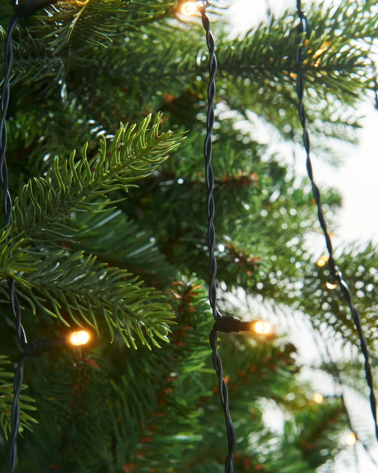 WeRChristmas Warm White LED Christmas Tree Light String, 2.5 M^ Tree Lights